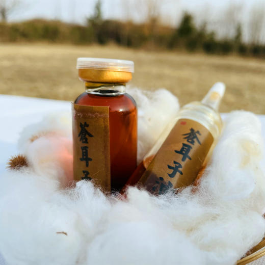 苍耳子油 商品图1