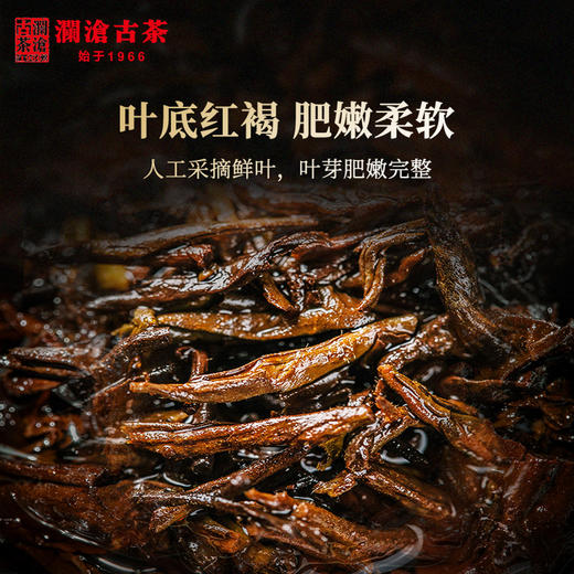 【7饼装】澜沧古茶2021年0081大饼普洱茶熟茶熟普饼茶云南茶叶饼茶 商品图3