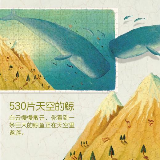 弥鹿mideer530片天空的鲸 商品图3