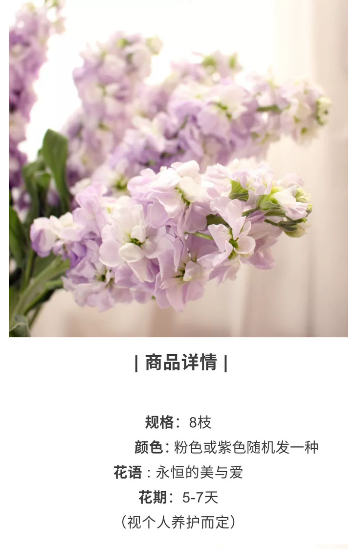 小妲己爆料|【妲己-紫罗兰誓言】6元秒杀皮肤，浪漫登场在即！