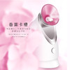 金稻（K-SKIN）美容器 蒸脸器 美容仪 热喷 纳米离子 深层保湿补水仪 喷雾补水仪 面膜搭档 蒸脸仪 KD-2331A 商品缩略图1