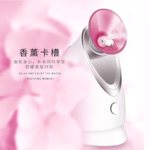 金稻（K-SKIN）美容器 蒸脸器 美容仪 热喷 纳米离子 深层保湿补水仪 喷雾补水仪 面膜搭档 蒸脸仪 KD-2331A 商品图1