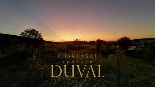 Edouard Duval Noir d'Eulalie Extra Brut 爱德华蜜语园黑中白香槟 商品图2