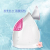 金稻（K-SKIN）美容器 蒸脸器 美容仪 热喷 纳米离子 深层保湿补水仪 喷雾补水仪 面膜搭档 蒸脸仪 KD-2331A 商品缩略图3