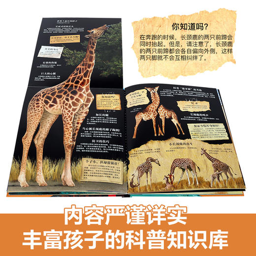 乐乐趣-拉鲁斯儿童立体百科全书-动物之最 商品图3