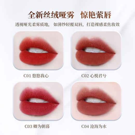 【卡婷 浮生大梦雕花情诗口红套装  下单后72小时内发货】丝绒 哑光 显白 奶茶色 中国风 小众唇膏 商品图7