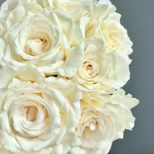 肯尼亚进口玫瑰VITALITY活力12支 商品图1