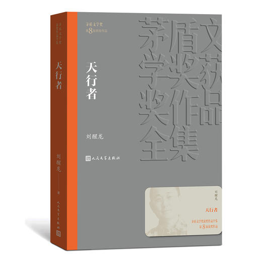 人文社第八届矛盾文学奖作品集 共12册 （你在高原+天行者+推拿） 商品图2