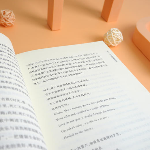 狄兰·托马斯诗歌批评本 诗歌评论 十九首世界诗歌批评本丛书 商品图3