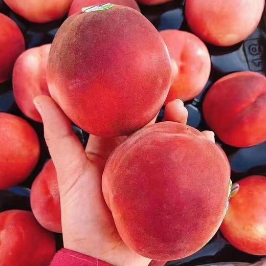 【澳洲“珍珠公主”水蜜桃】5粒 12粒 18粒/箱，空运直达，甘甜多汁 商品图3