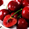 【智利车厘子 上海仓发货】智利进口车厘子 桑缇娜原箱礼盒  特大进口樱桃 商品缩略图2