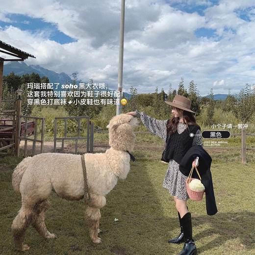 金蘑菇菇【金箔香槟 bling毛背心】金丝v领针织宽松外穿马甲 商品图0