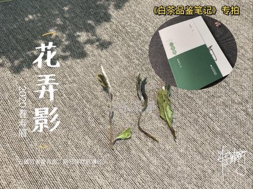 读一本好书，喝一杯好茶，这是一泡蕴含书香的春寿眉 商品图0