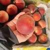【澳洲“珍珠公主”水蜜桃】5粒 12粒 18粒/箱，空运直达，甘甜多汁 商品缩略图5