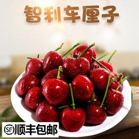 【智利车厘子 上海仓发货】智利进口车厘子 桑缇娜原箱礼盒  特大进口樱桃
