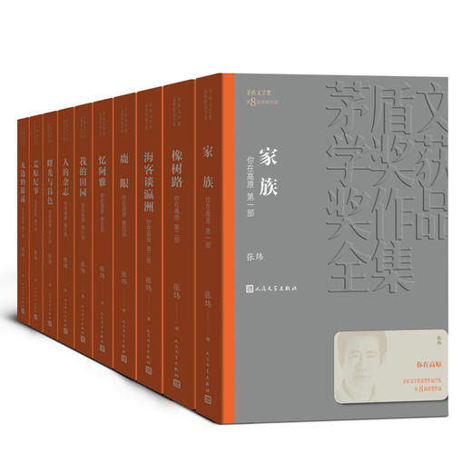 人文社第八届矛盾文学奖作品集 共12册 （你在高原+天行者+推拿） 商品图3