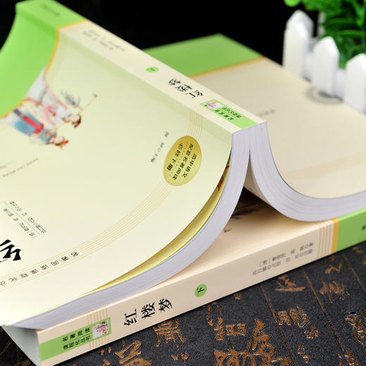 红楼梦原著正版无删减曹雪芹著高中高一上下必修人教版初中高中课外阅读经典名著书籍 高1课外书籍人民教育文学南方出版社四大名著 商品图1