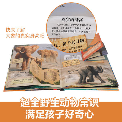乐乐趣-拉鲁斯儿童立体百科全书-动物之最 商品图2