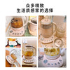 【北鼎】北鼎（Buydeem）养生壶煮茶器黑茶煮炖蒸燕窝炖盅玻璃花茶壶K159T 商品缩略图7
