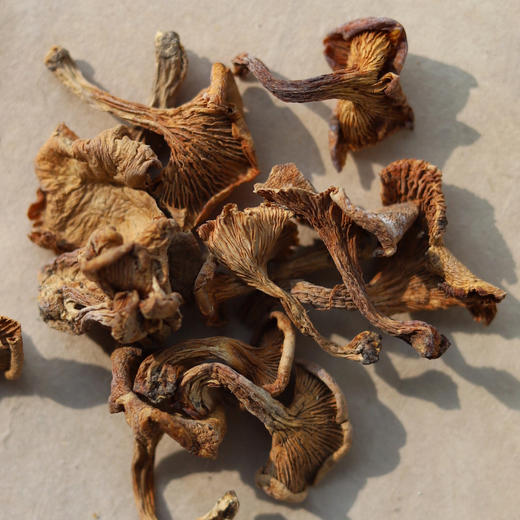 野生菌汤包 | 六大野生珍菌，一包满足，超值分量，营养美味，冬季进补必备 商品图1