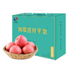 【年供款】陕西洛川红富士苹果24枚80mm精品中大果便捷手提装   全年供12箱苹果 每日一苹果健康陪伴 商品缩略图4