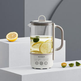 【北鼎】北鼎（Buydeem）MINI养生壶本白色MINIK