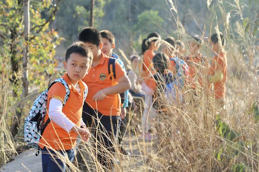 先锋营（老学员）2024秋冬学季系列五节 商品图0