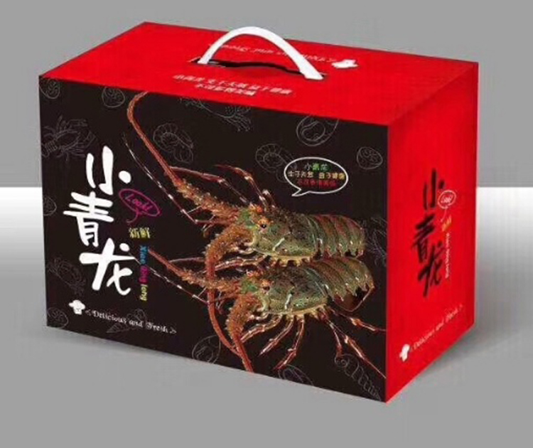 小青龙 | 东山岛