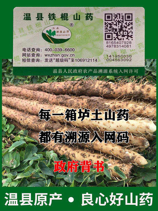 河谷上方 正宗原产地【 霜降后的山药】【丑山药 懂的来！软糯甜！营养丰富！】【5斤装50cm】 生态种植铁棍山药河南焦作温县垆土淮山药 商品图1