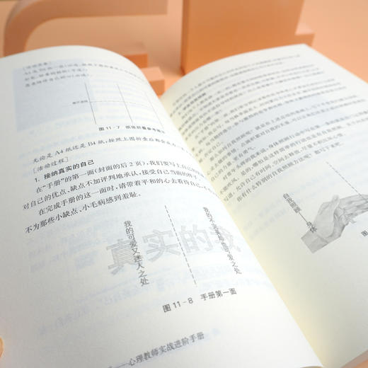 心理课 怎么玩 心理教师实战进阶手册 适合心理教师阅读 中小学心理健康教育 商品图3