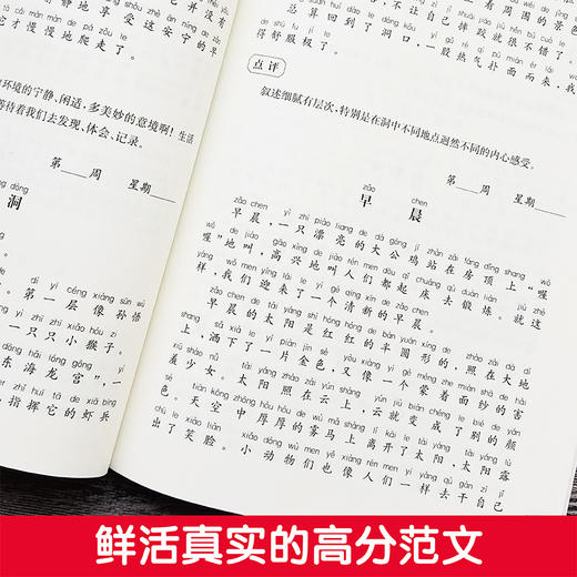 周计划 小学作文高分范文精选 2年级/二年级 小学生同步作文优秀写作素材题库大全 小学作文写作指导写作技巧 华东理工大学出版社 商品图2