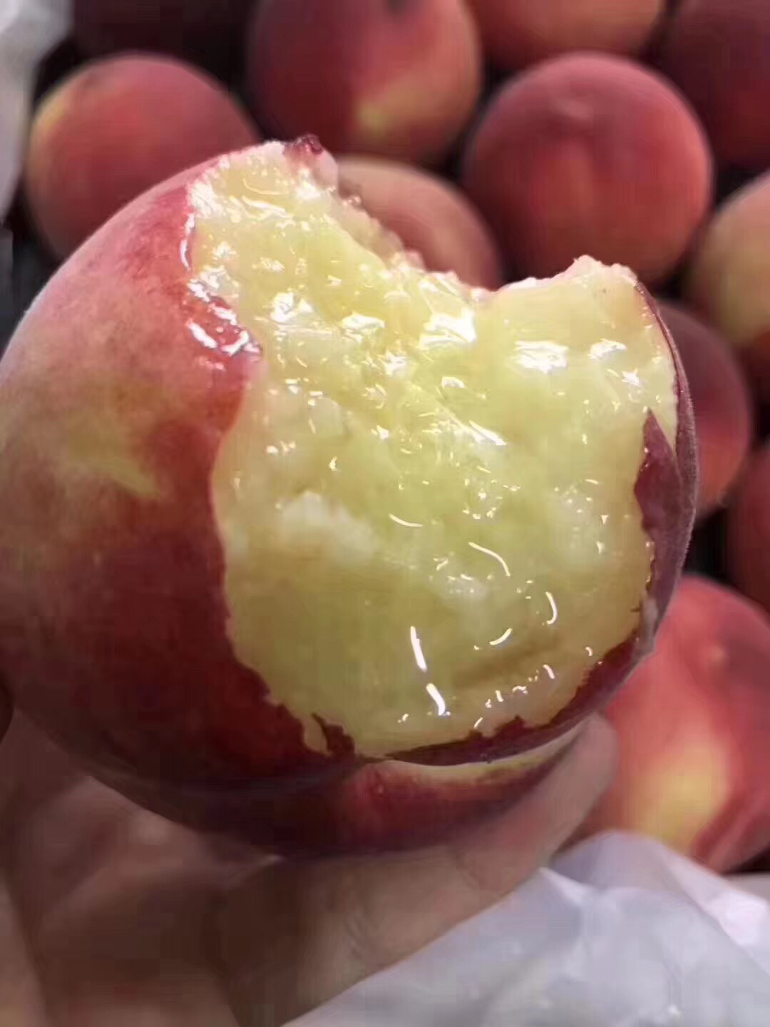 澳洲空运76水蜜桃硬的脆爽很甜桃味浓软后爆汁18规格中果