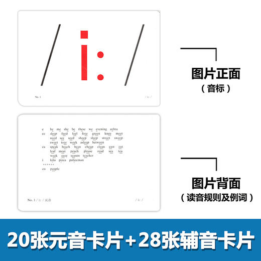 正版 外教社 英语音标卡片  国际音标学习卡片 上海外语教育出版社 英语教学卡片 学习卡片 国际音标教材 英语音标卡片 商品图1