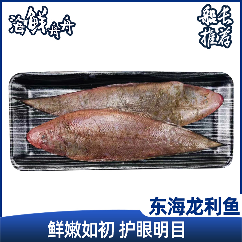 东海龙利鱼