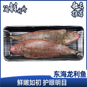 东海龙利鱼