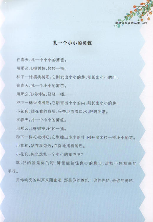 正版 安武林文集 星星落在灌木丛里 部编版统编教材阅读书籍 曹文轩 倾情 上海大学出版社 商品图3