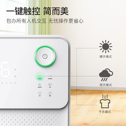 欧井（Eurgeen）除湿机/抽湿机 OJ-128E 除湿量12升/天 适用面积12-22㎡ 静音36分贝 家用卧室干衣净化吸湿器 商品图4