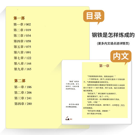 钢铁是怎样炼成的正版 人民教育出版社初中原著完整版无删减 8年级/八年级下册部编版文学书目怎么初中生语文教材配套阅读 商品图1