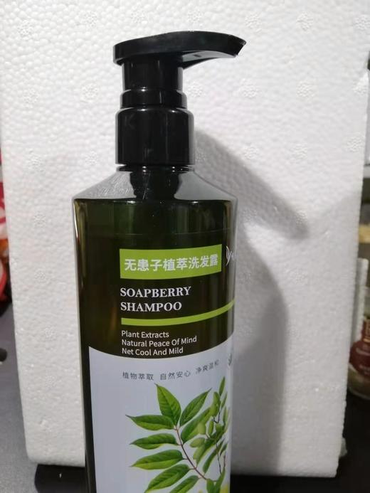 无患子洗发水 护发素｜沐浴露 商品图3