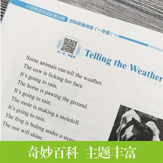 小学英语阅读拓展训练 百科英语阅读 1年级/一年级 华东理工大学出版社 提高英语阅读能力拓展阅读视野 商品图1
