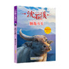 沈石溪动物小说正版 独角斗牛 小学生三四五六年级课外阅读书籍儿童文学读物经典书目 沈石溪的书全系列畅销书 商品缩略图4