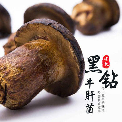 【黑钻牛肝菌片】山义雨松茸羊肚菌冬虫夏草干货煲汤65g 商品图1