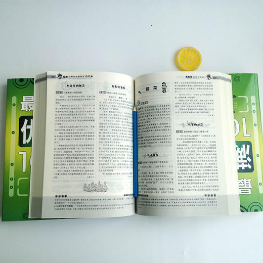 全4册 小学生获奖优秀分类作文最新小考满分作文1000篇 小学生作文精选3456年级优秀范文小升初作文素材大全 波波乌作文大宝库 商品图3