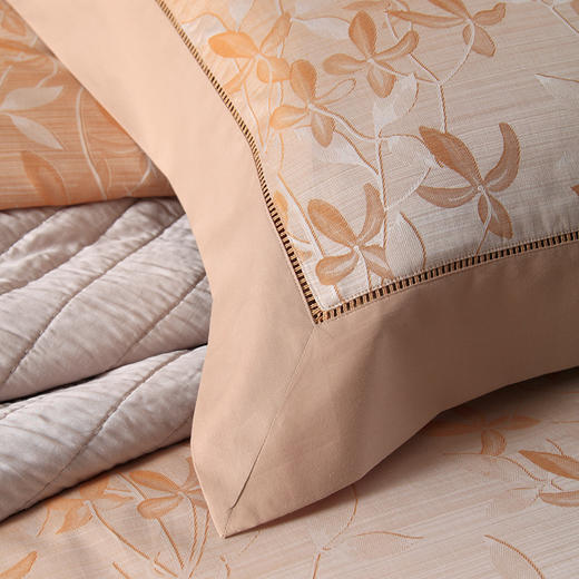 清幽  埃及长绒面四件套 商品图1