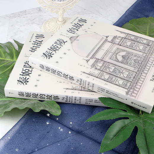 泰姬陵的故事 商品图3