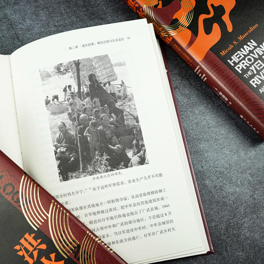 洪水与饥荒：1938至1950年河南黄泛区的战争与生态 商品图9