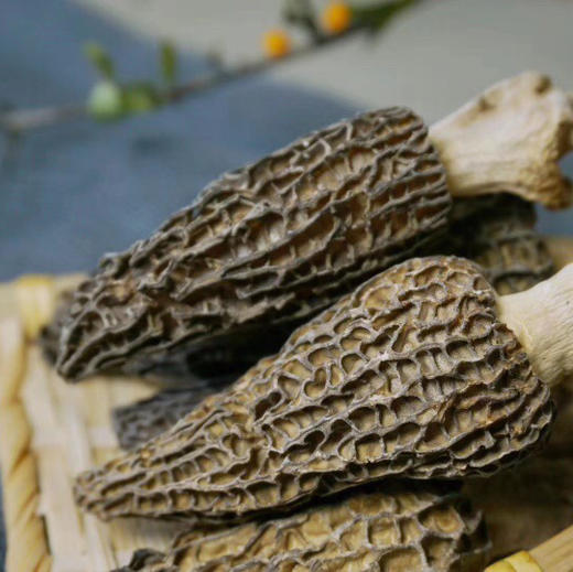 云南特产 松茸干虎掌菌干羊肚菌干组合装健康食材 商品图1