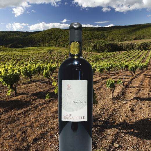 雅乐园 白露园圣西尼昂村庄红葡萄酒2016Clos Bagatelle Je me Souviens 2016 - Saint-Chinian - Languedoc 商品图2