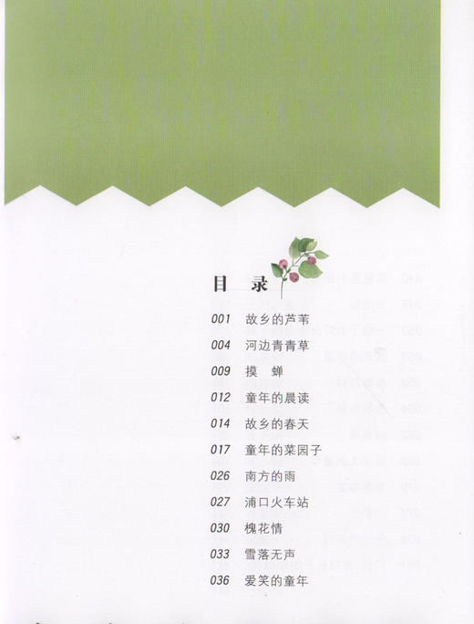 正版 安武林文集 童年的菜园子 部编版统编教材阅读书籍 曹文轩 倾情 上海大学出版社 商品图2