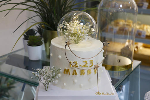 梦幻白满天星-加高 商品图1